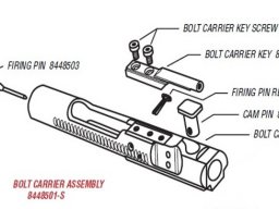 Bolt carrier assembly
